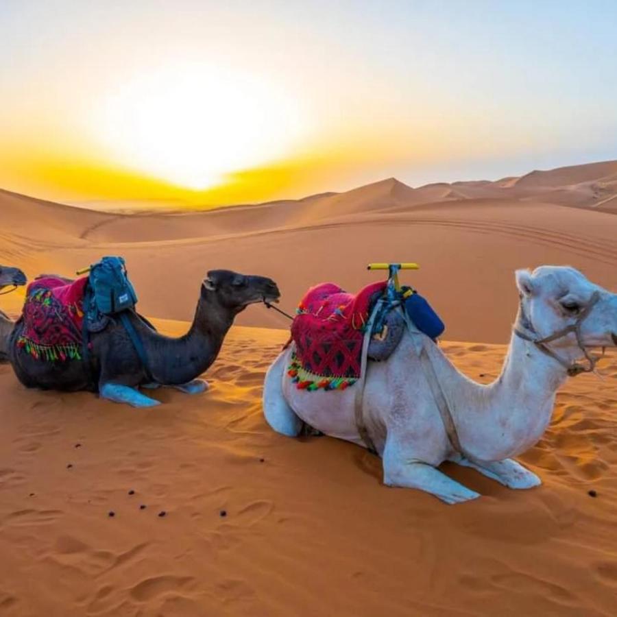 Merzouga Heart Camp Luaran gambar